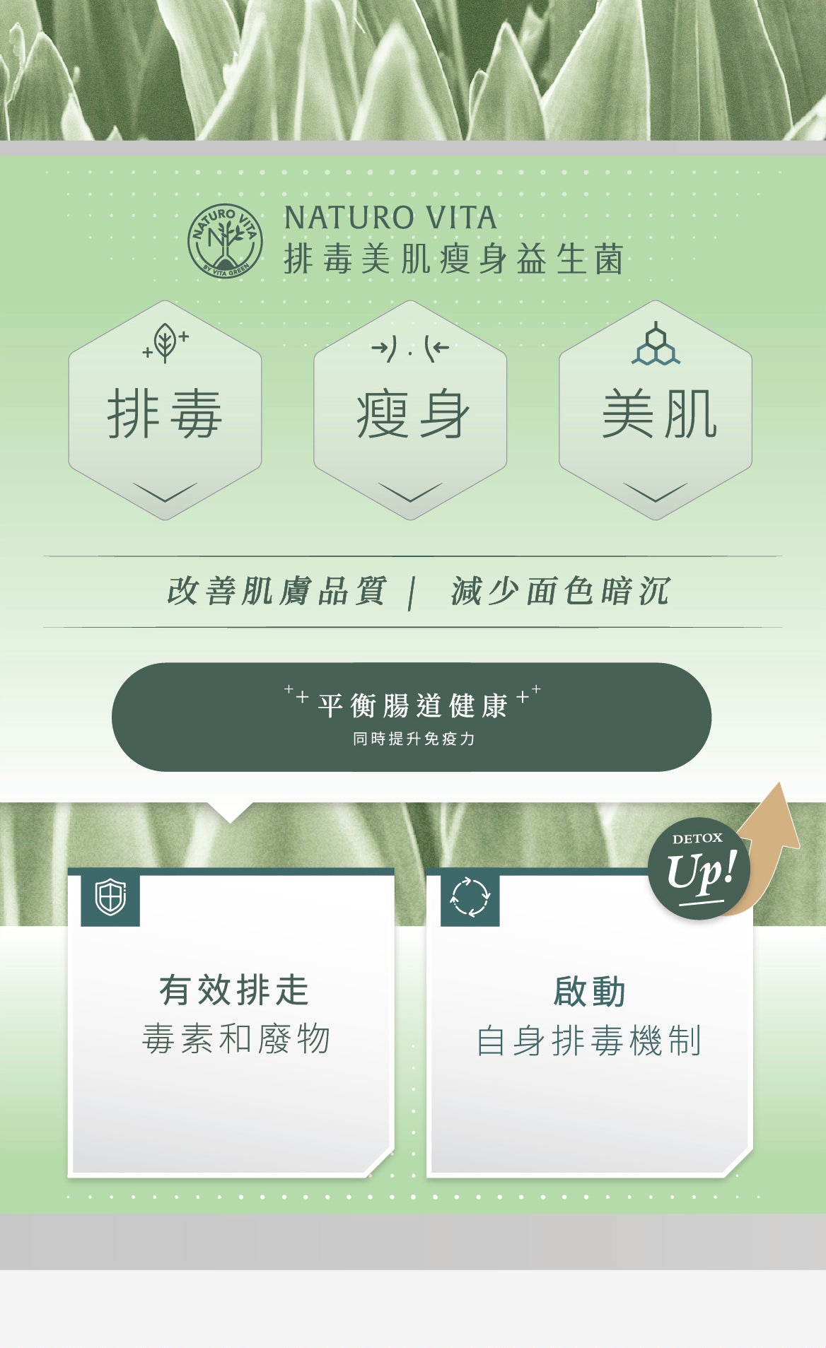 排毒美肌瘦身益生菌 | Detox Glow Slimming Probiotics