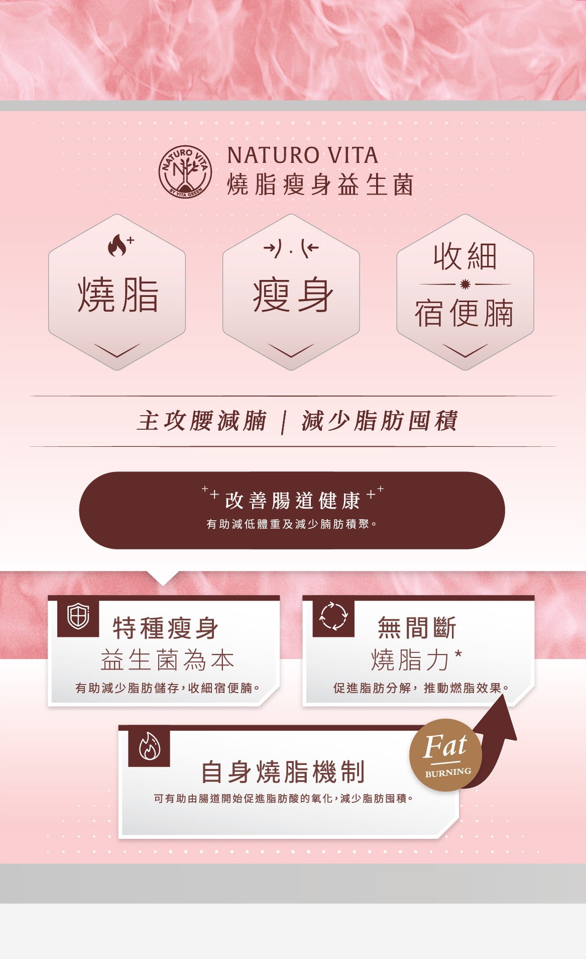 燒脂瘦身益生菌 | Fat Burn Slimming Probiotics